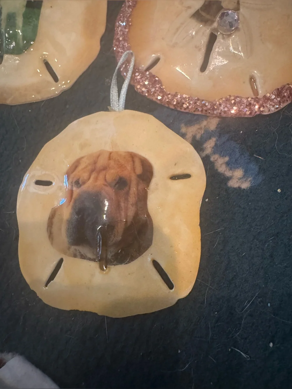 Handmade real Sand Dollar ornaments Hanging Set - Cream and Brown